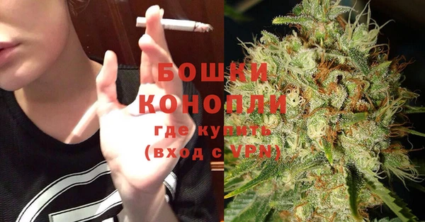 гидра Красноперекопск