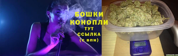 a pvp Коряжма