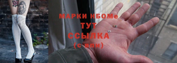 шишки Корсаков