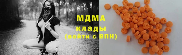 шишки Корсаков