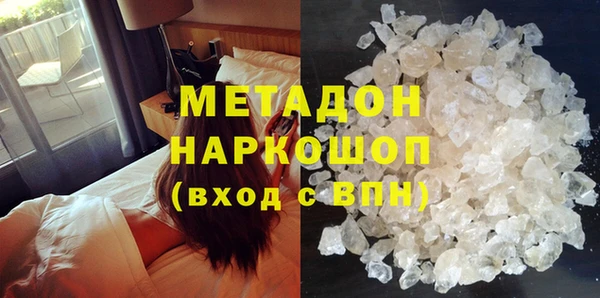 шишки Корсаков