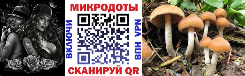 Купить где  Апшеронск  Галлюциногенные грибы ЛСД 